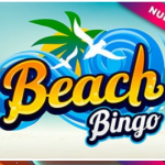beach bingo logo